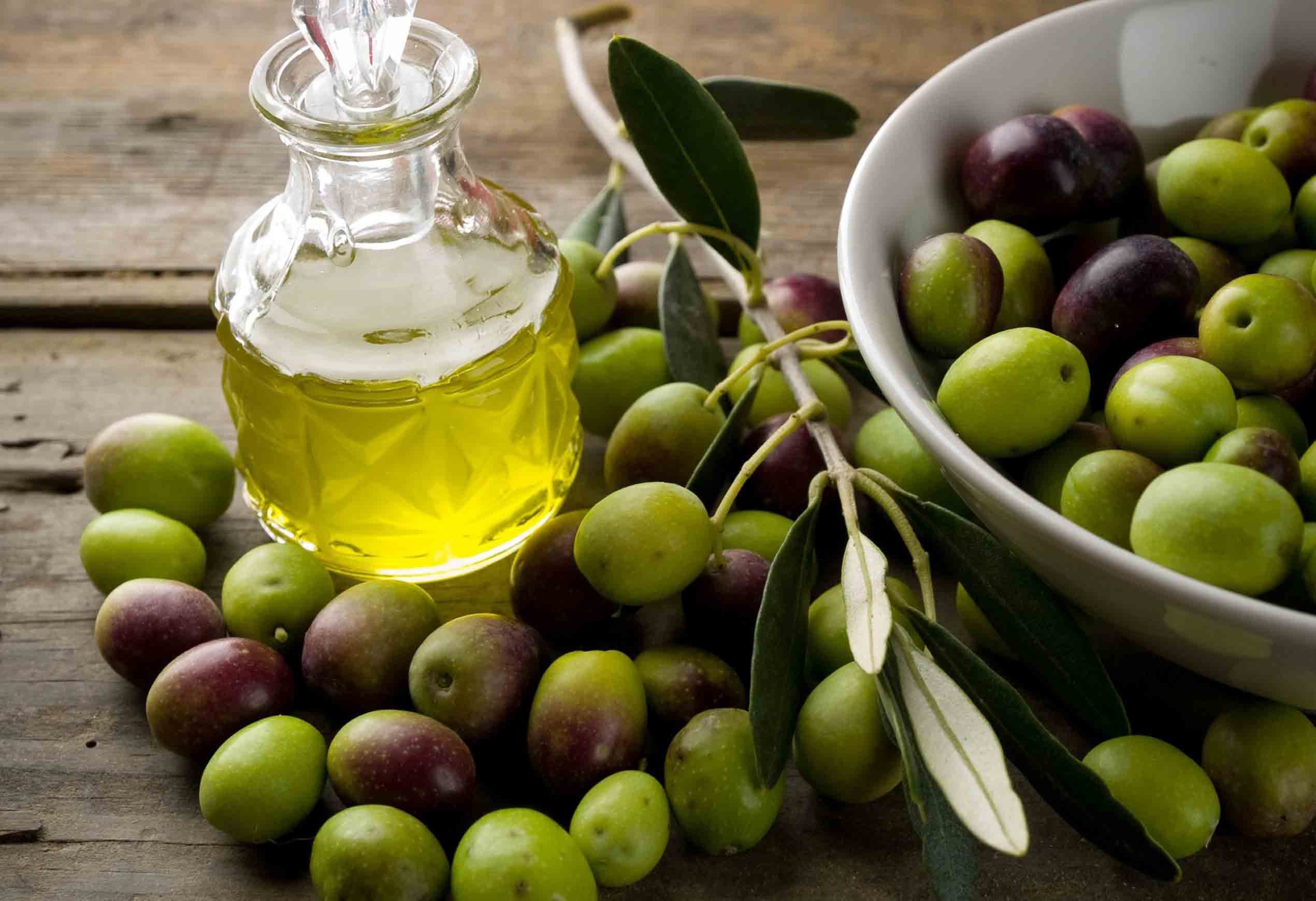 Fundamentals of Sustainability of Olive Oil System
